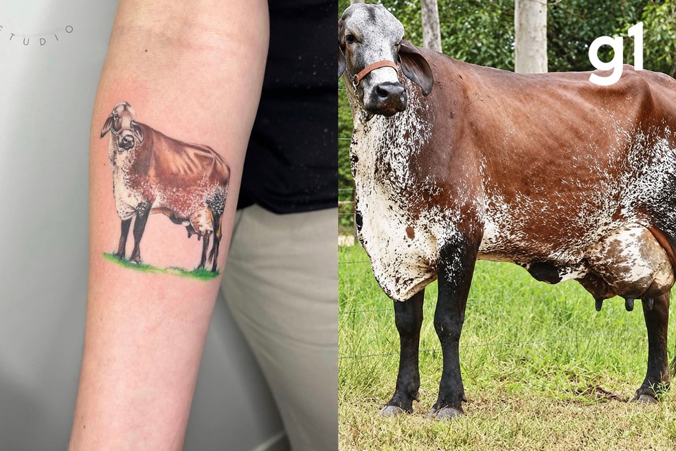 Vaca Surabhi foi reproduzida em uma tatuagem realista pelo tatuador Luiz Paulo Mrozkowski de MT. — Foto: Reprodução