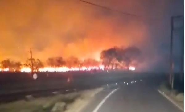 Incêndio de grande proporção destrói área de mata às margens de rodovia na região de distrito industrial em Piracicaba 