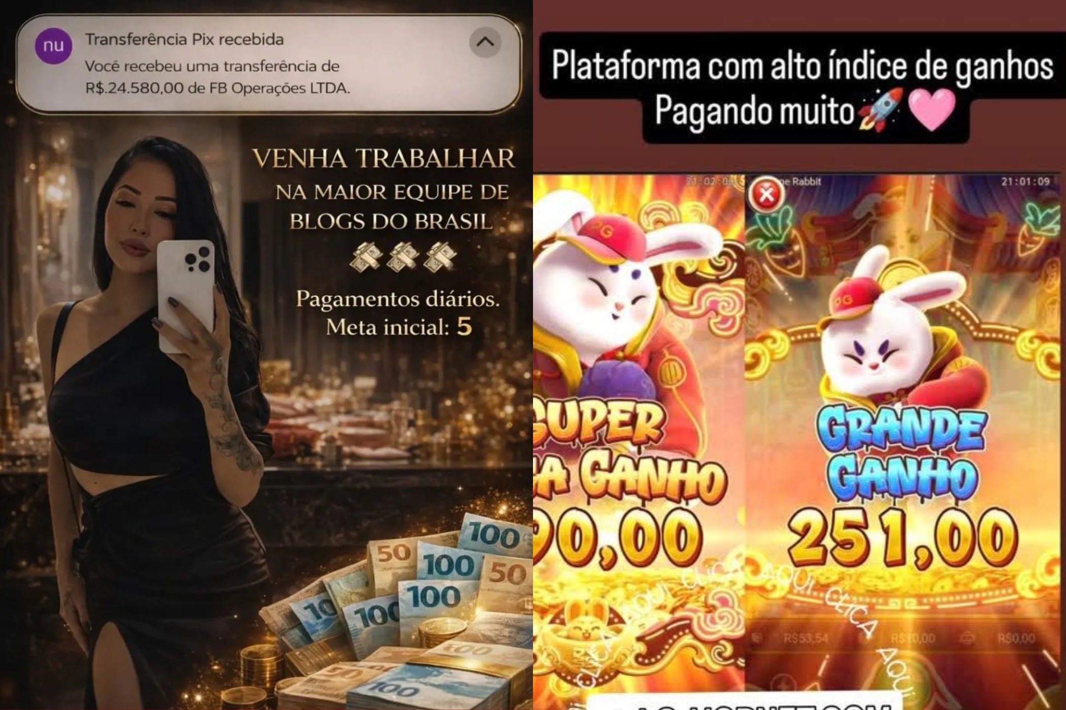 Empresária do Paraná é presa suspeita de movimentar R$ 28 milhões com 'jogo do tigrinho'