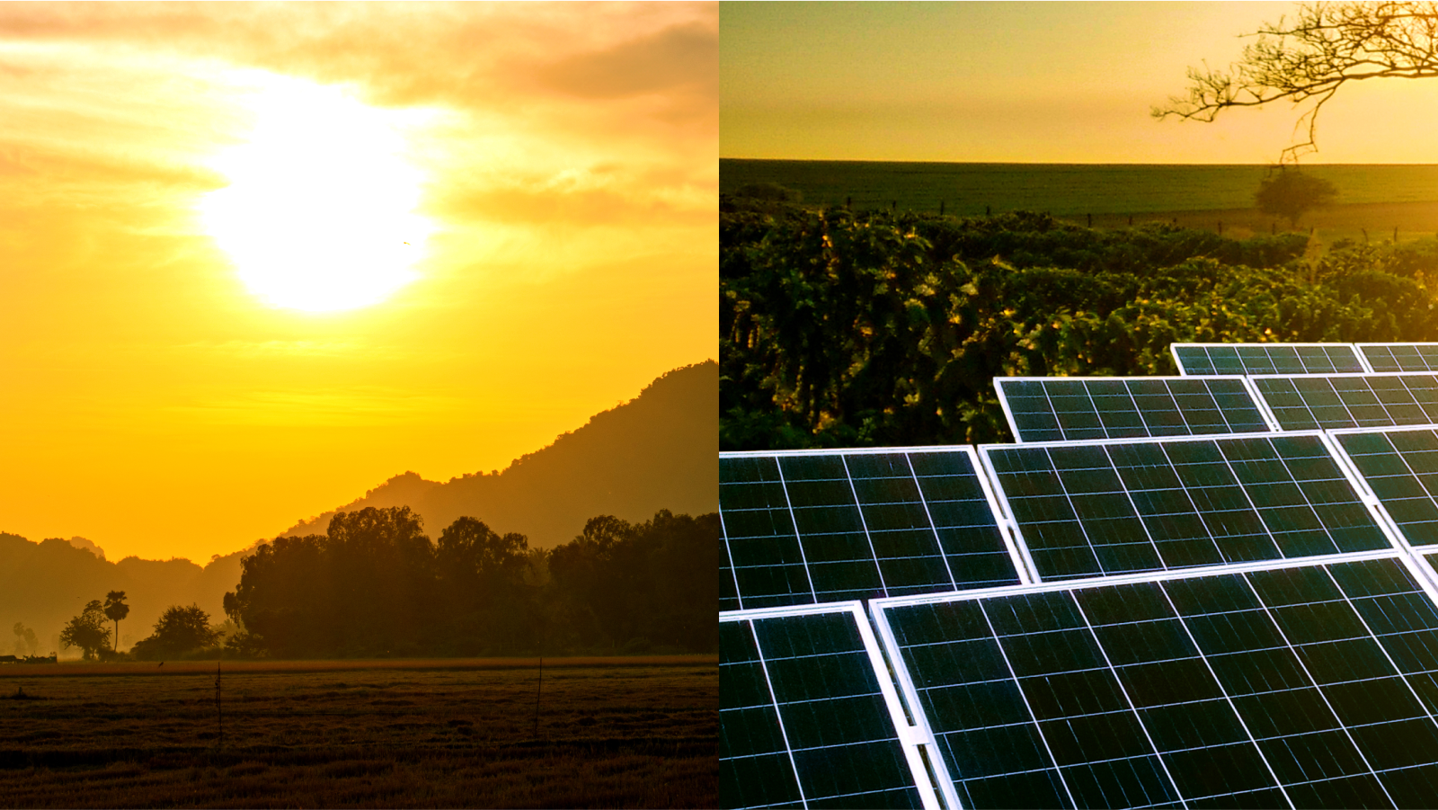 O Brasil é o país do sol. Por que não da energia solar?