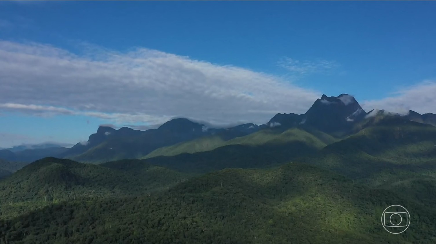 Menos de 10% da Mata Atlântica é protegida por unidades de conservação, revela estudo inédito