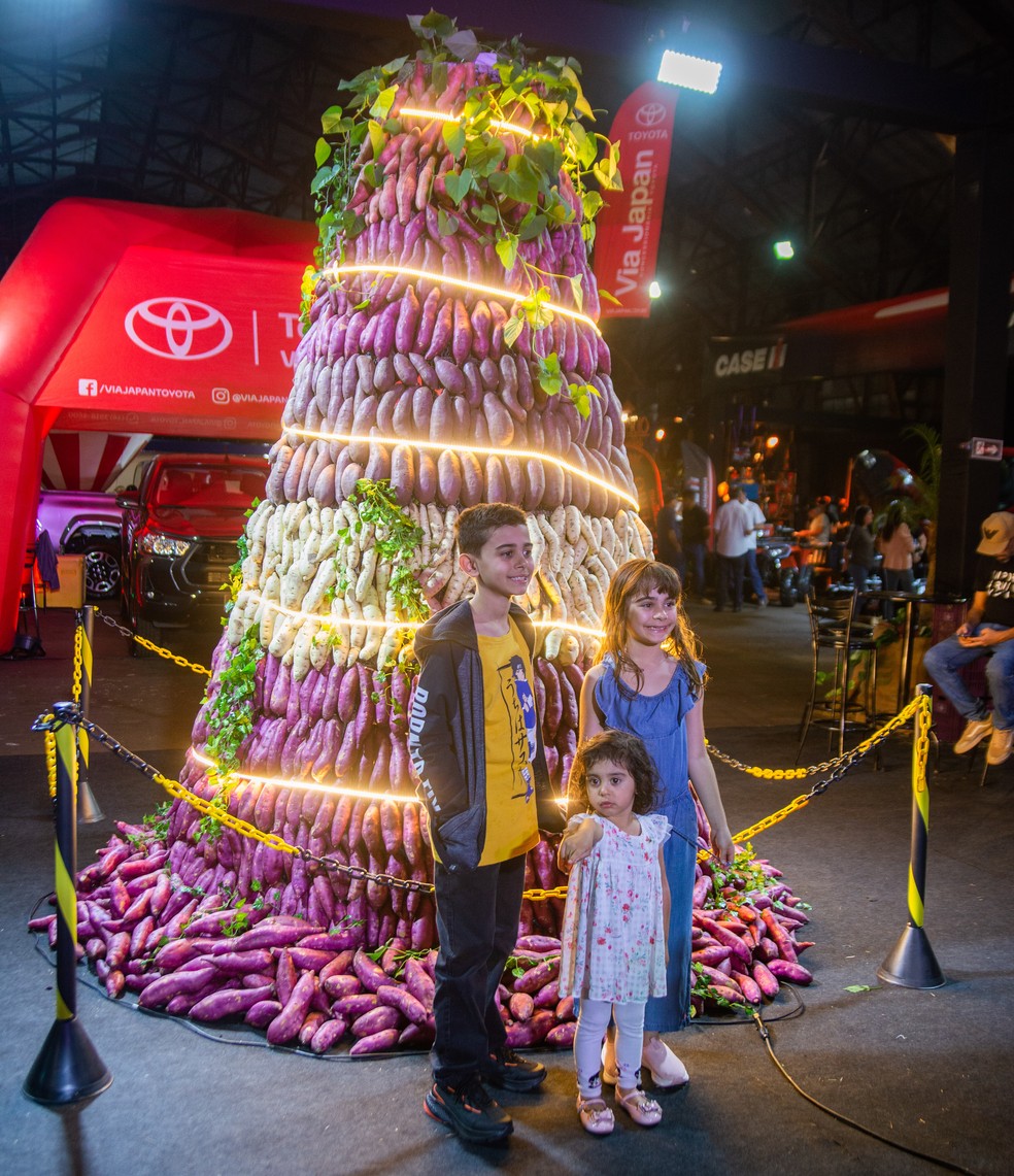 Batatec começa nesta quinta-feira (24), em Presidente Prudente (SP) — Foto: Cedida
