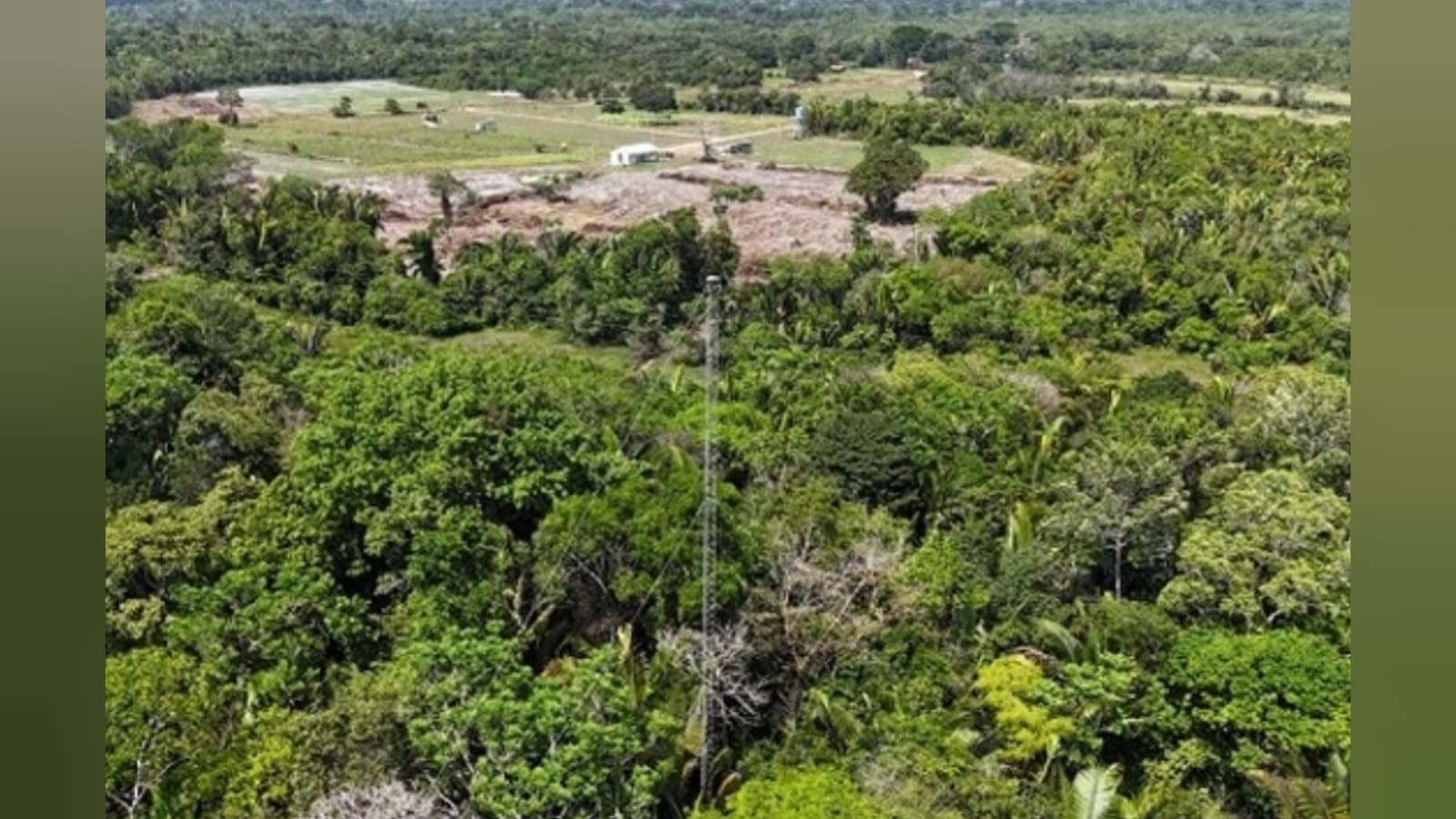 Torre micrometeorológica amplia pesquisas sobre o clima na Amazônia