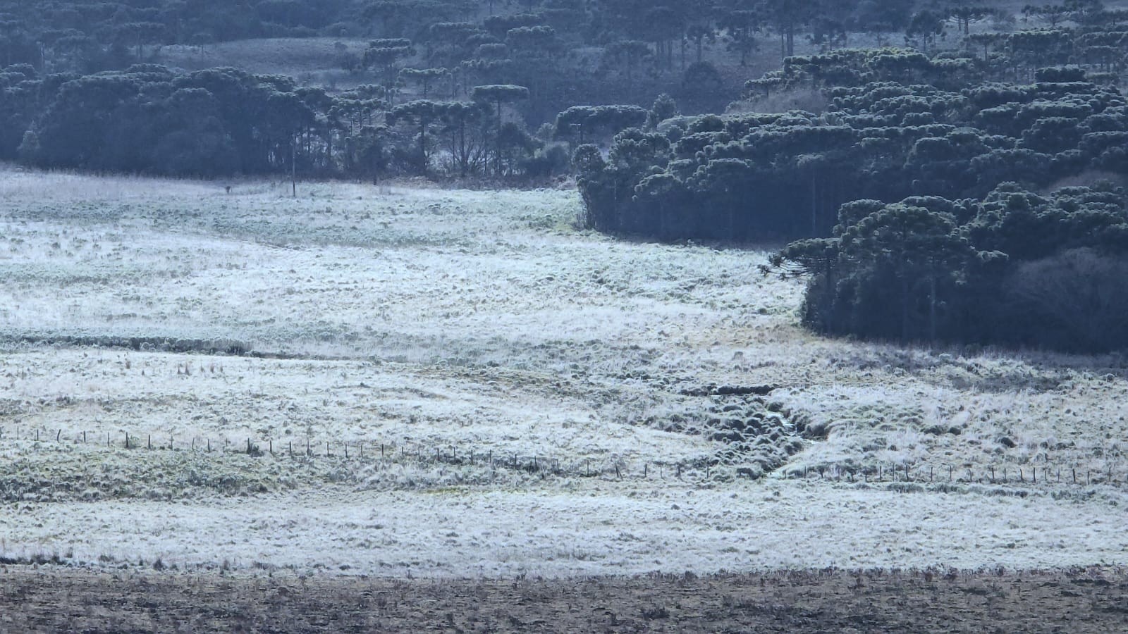 Feriado começa com frio, geada e temperaturas negativas na Serra de SC; VÍDEO