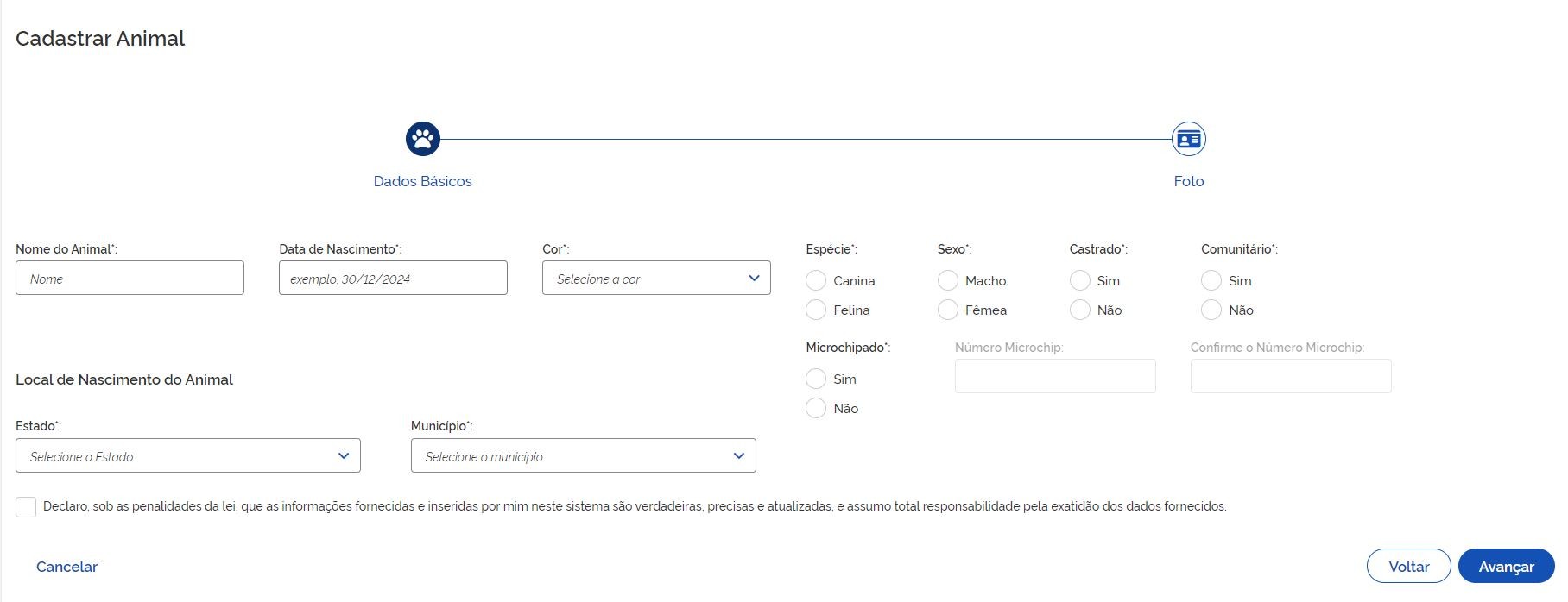 'RG Animal': veja o passo a passo de como criar o documento gratuito para cães e gatos