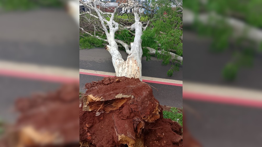 Temporal derruba postes e telhados e deixa mais de 300 pessoas sem energia em Patos de Minas