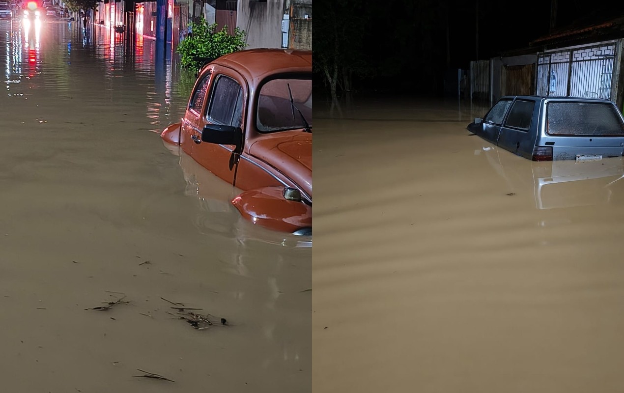 Queda de árvores, enxurrada, alagamento: chuva causa estragos na região de Itapetininga