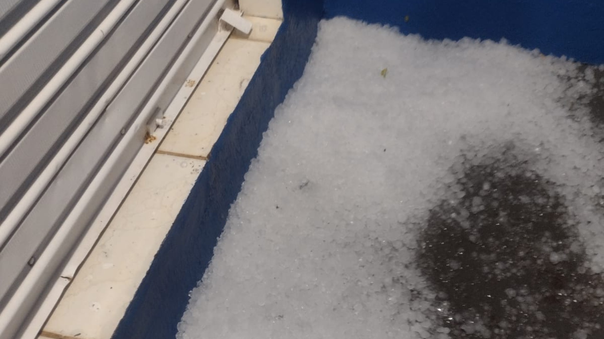Granizo cobre bairros da região Oeste de Uberlândia e vento provoca queda de árvore