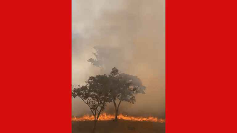 VÍDEO: Incêndio atinge lote vago e fumaça cobre parte do Bairro Laranjeiras, em Uberlândia