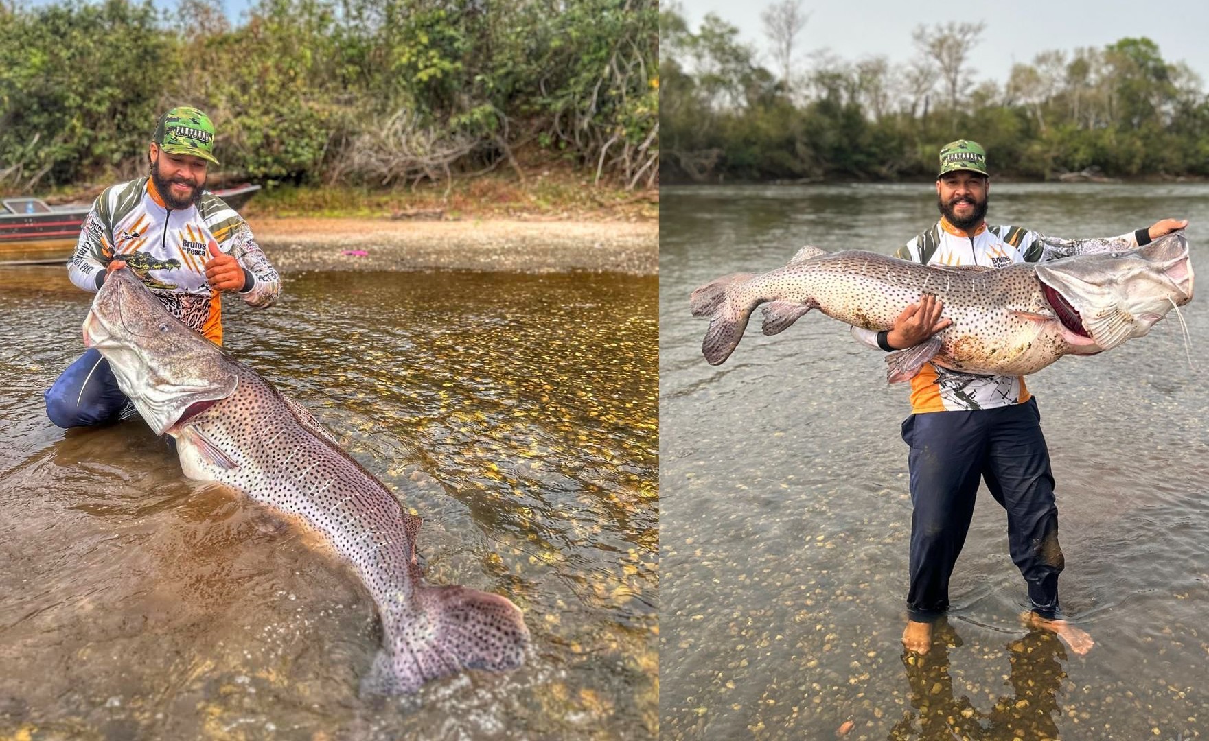 Pescador de MS fisga pintado de 1,76m e bate recorde no Brasil: 'Peixe gigante, adrenalina louca'; vídeo