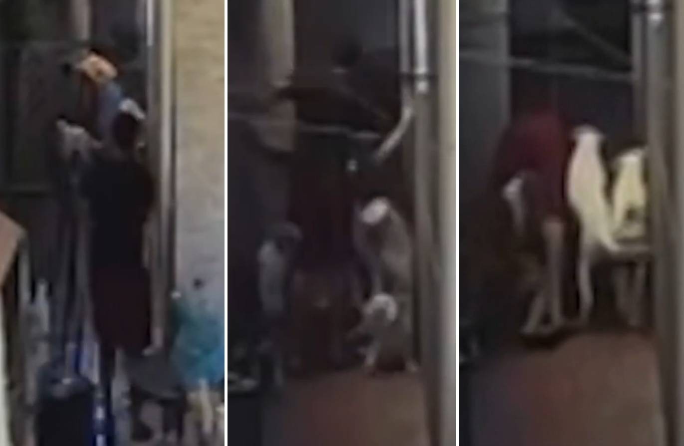 Vídeo mostra adolescente sendo espancado por padrasto lutador dentro de casa