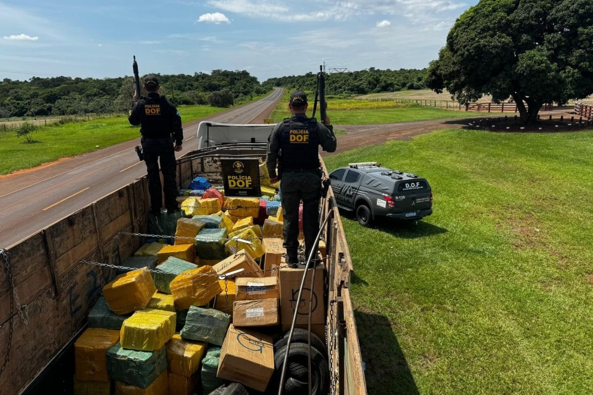 Polícia apreende 8 toneladas de maconha escondidas em carreta carregada de soja, em MS