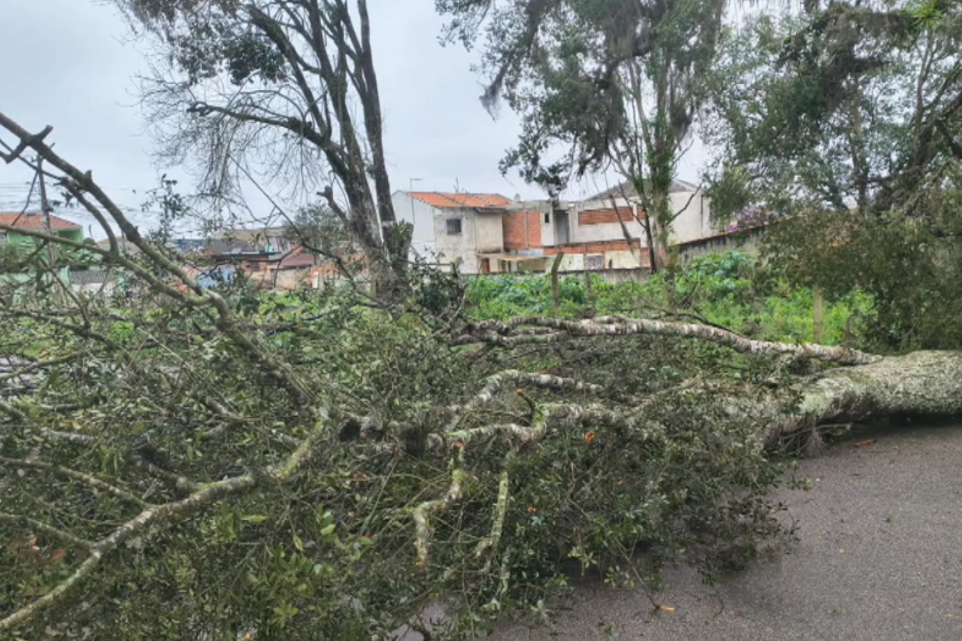Chuva intensa provoca estragos em cidades da Região Metropolitana de Curitiba
