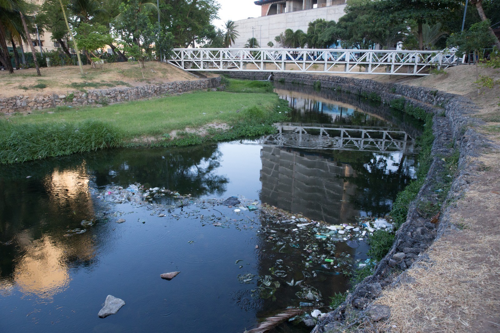 Esgoto que escorre para o mar: poluição no riacho Maceió contamina a Praia do Mucuripe, em Fortaleza