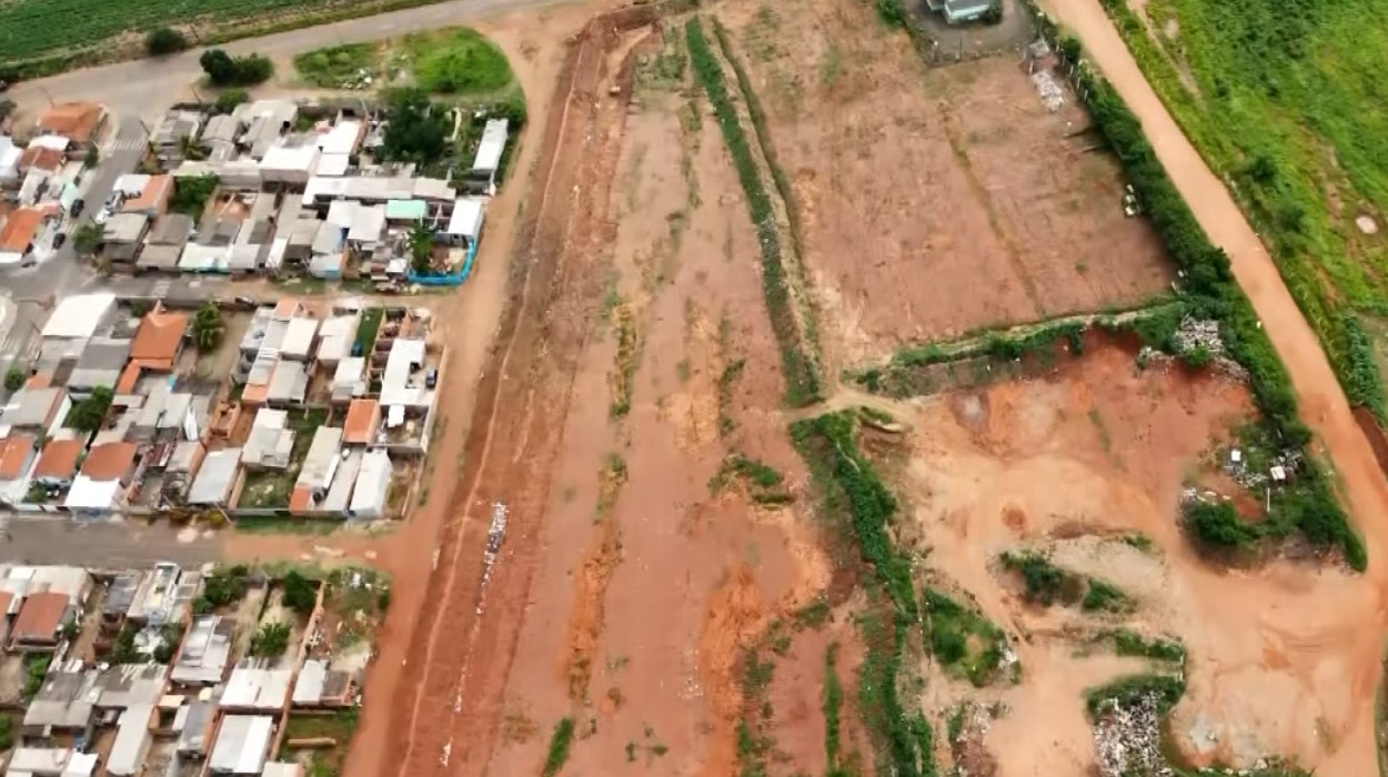 Presença de animais peçonhentos e descarte irregular de lixo preocupam moradores de cidade do interior de SP 