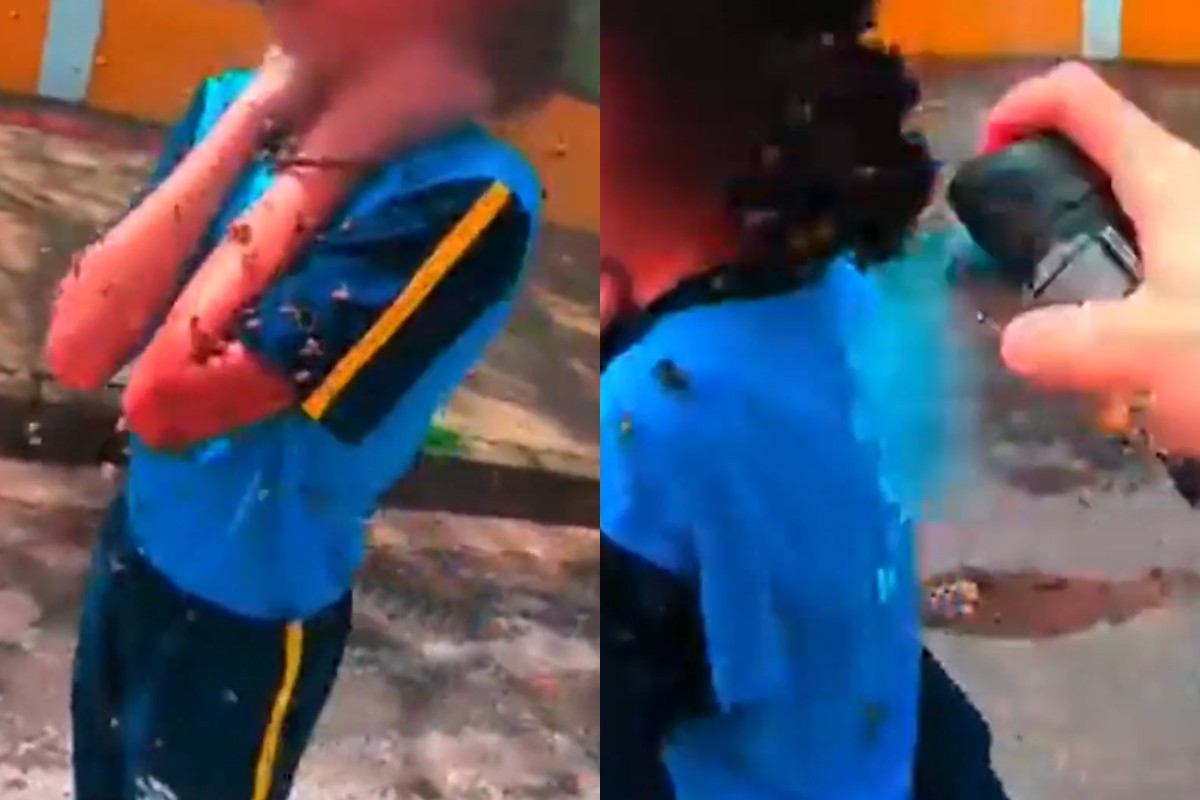 VÍDEO: aluna é atacada por enxame de abelhas na porta de escola municipal na Grande BH 