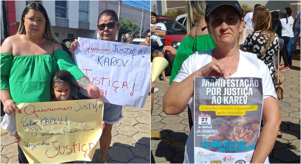 Uma manifestação pedindo justiça para o animal foi realizada em Avaré (SP) — Foto: Reprodução