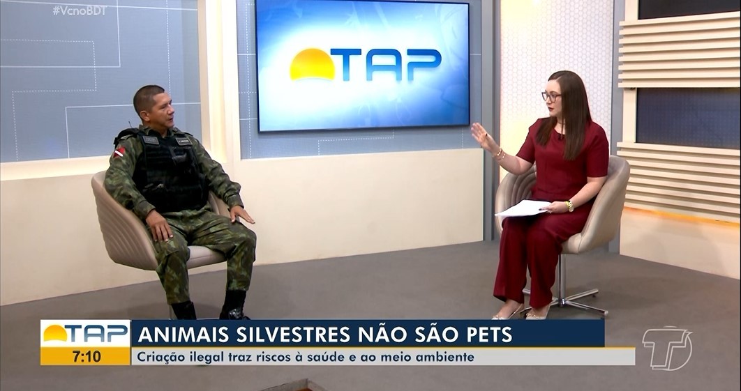 'Manter animal silvestre em casa é crime e traz riscos’, alerta comandante da Polícia Ambiental