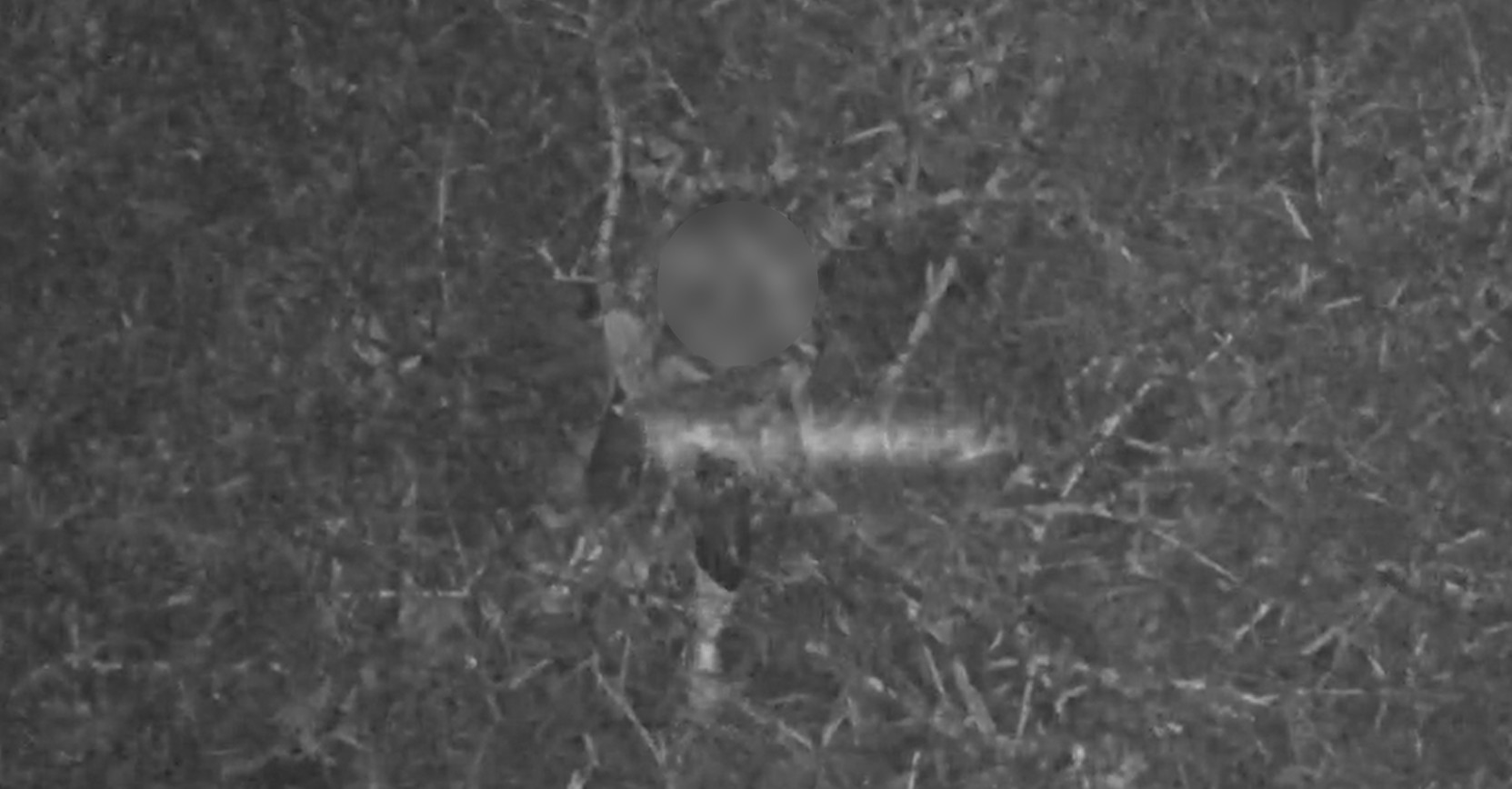 VÍDEO: drone com sensor de calor localiza homem que estava perdido em área de mata, no Paraná