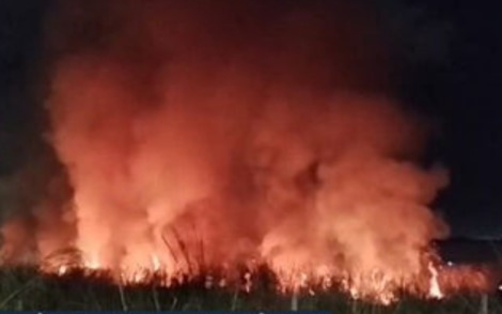 Incêndio atinge vegetação em Goiânia e fumaça se espalha por bairros; veja vídeo