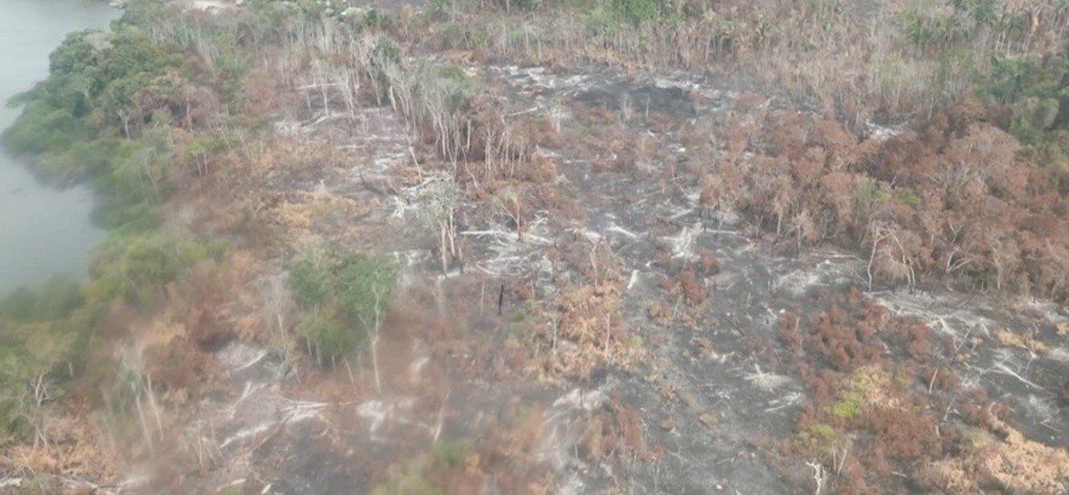 Altamira enfrenta estado de emergência devido a incêndios florestais no Pará