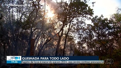 Registro de focos de fogo é menor do que em 2024; mas cenário continua preocupante