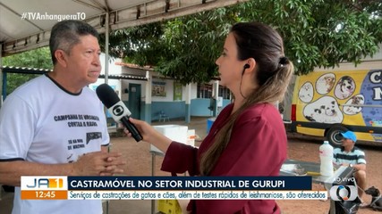 Prefeitura de Gurupi realiza castração de gatos e cães neste sábado (14)