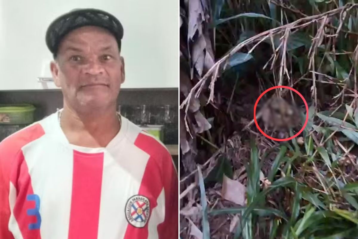 Restos mortais e camiseta são achados durante buscas por pedreiro morto em 'tribunal do crime'