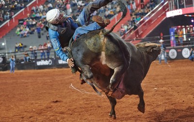 Surfista de SP troca mar e prancha por poeira e arreios para competir no  rodeio em cavalos, Festa do Peão de Barretos 2022