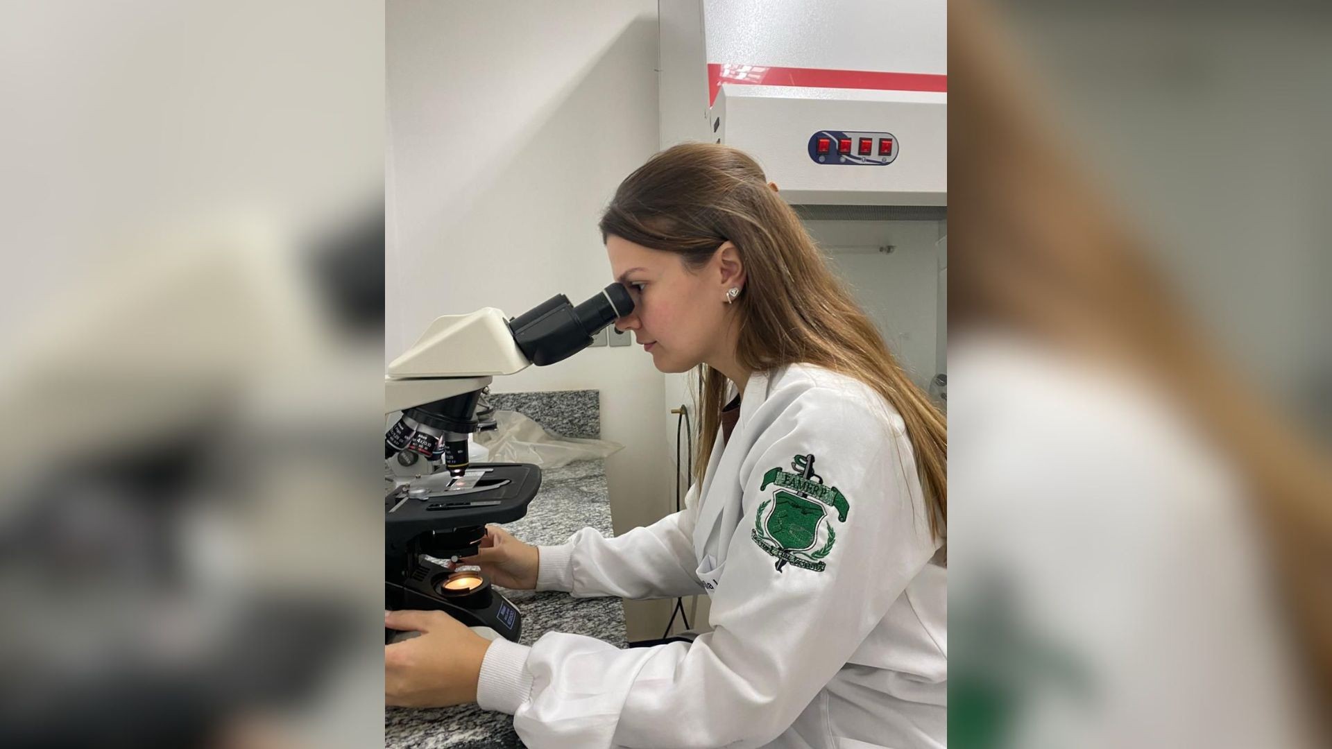 Pesquisadores do interior de SP testam medicamento que pode aumentar qualidade de rins destinados para transplante