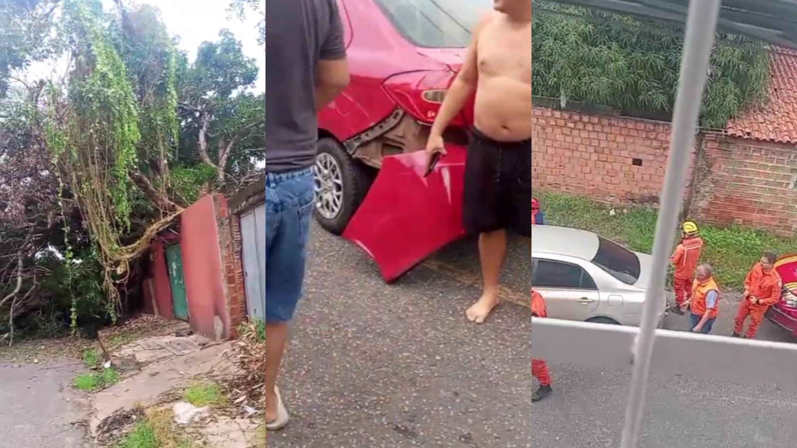 Árvore de grande porte cai, atinge carro e interdita rua de Teresina