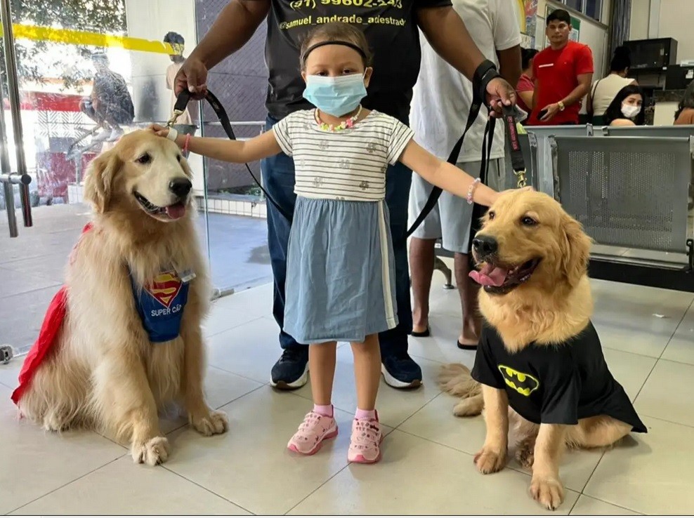 Cães fantasiados de super-heróis ajudam crianças em tratamento contra o câncer em hospital de Belém