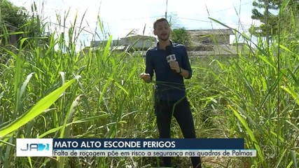 Desaparecimento de idoso em Palmas acende alerta para os riscos do mato alto; confira