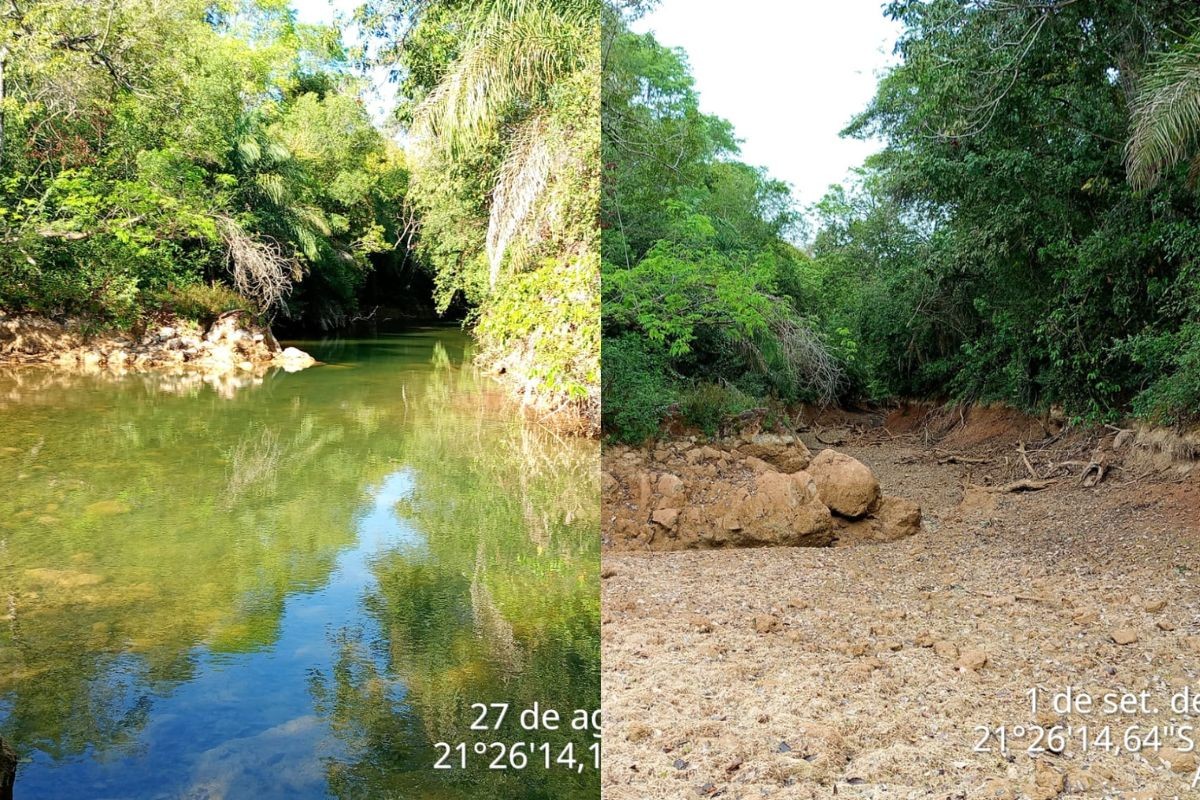 Antes e depois: em 4 dias, trecho do Rio da Prata seca completamente e ameaça peixes em MS