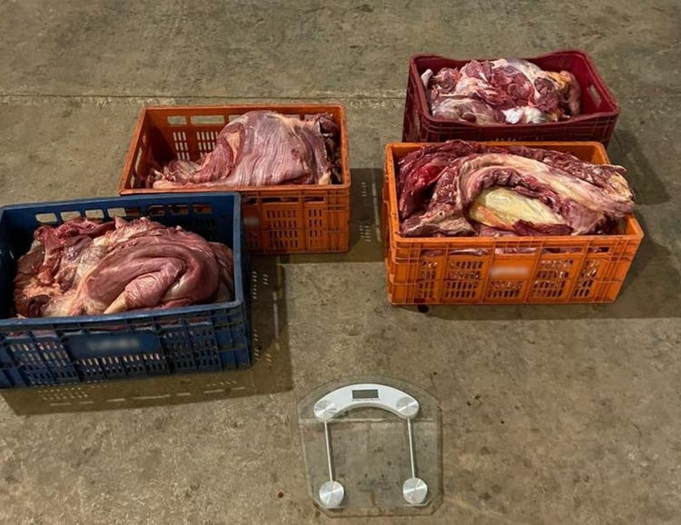 Polícia Civil prende empresário que vendia carne de cavalo em