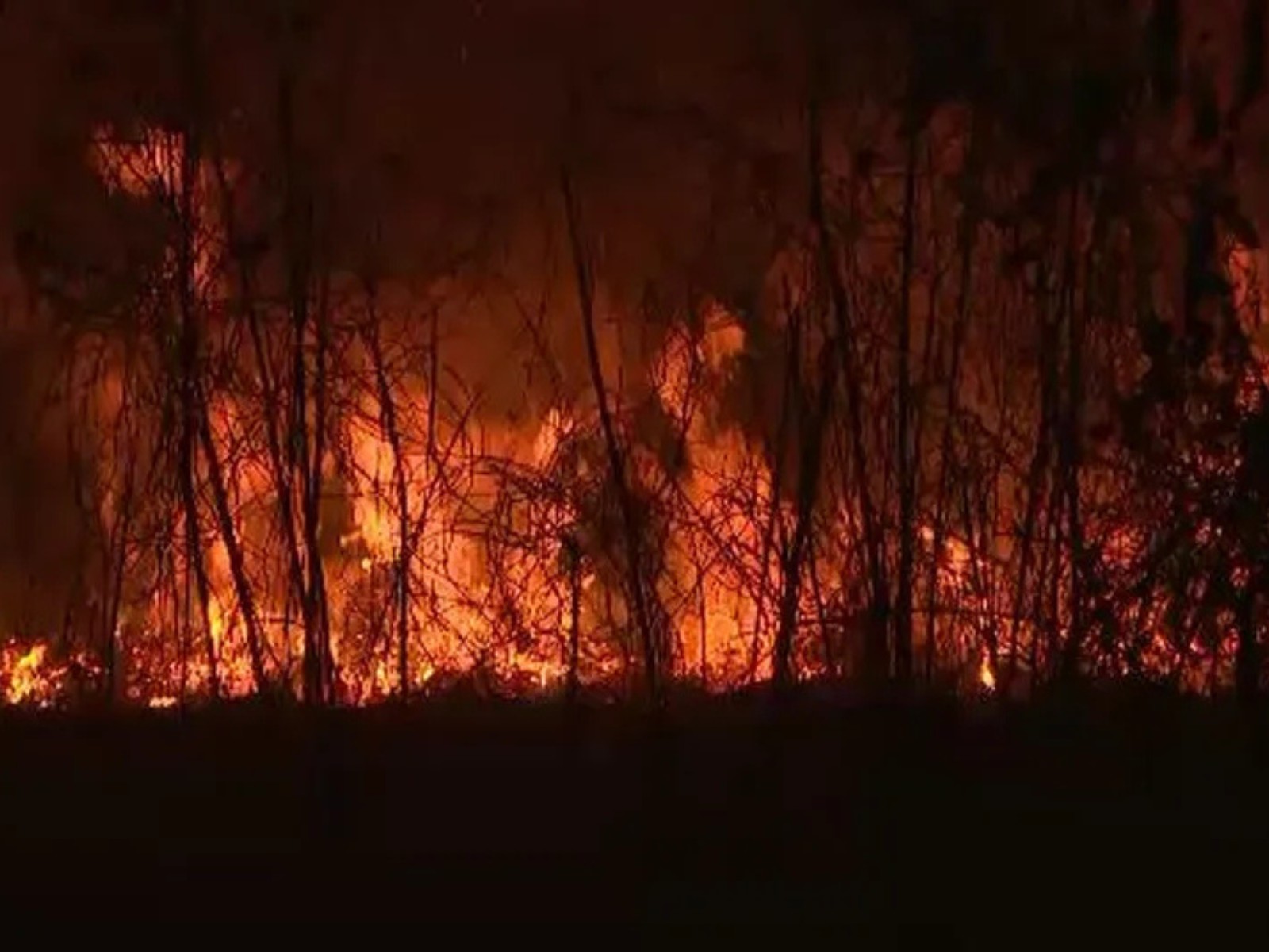 Área queimada no Acre tem 4ª maior queda do país em relação à média histórica