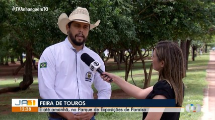Feira de touros, equinos e muares é realizada em Paraíso do Tocantins