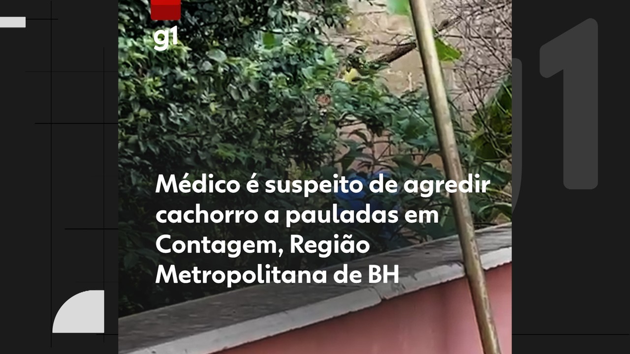 MÃ©dico Ã© suspeito de agredir cachorro a pauladas; VÃDEO