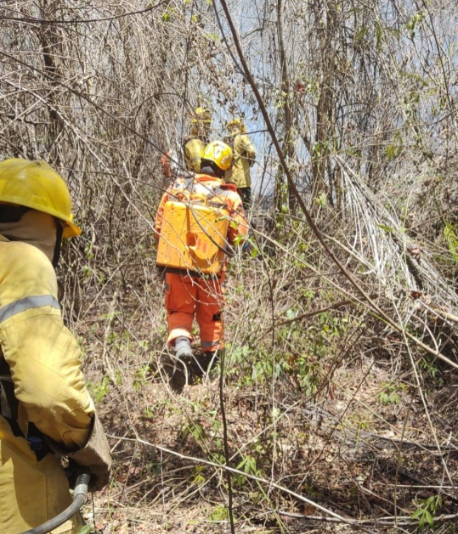 Altas temperaturas e ventos constantes dificultam combate ao incêndio no parque da Lapa Grande