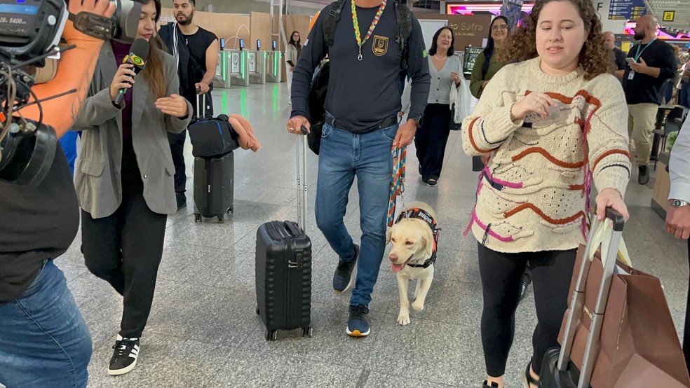 Cão de suporte autista embarca com treinadora para Portugal