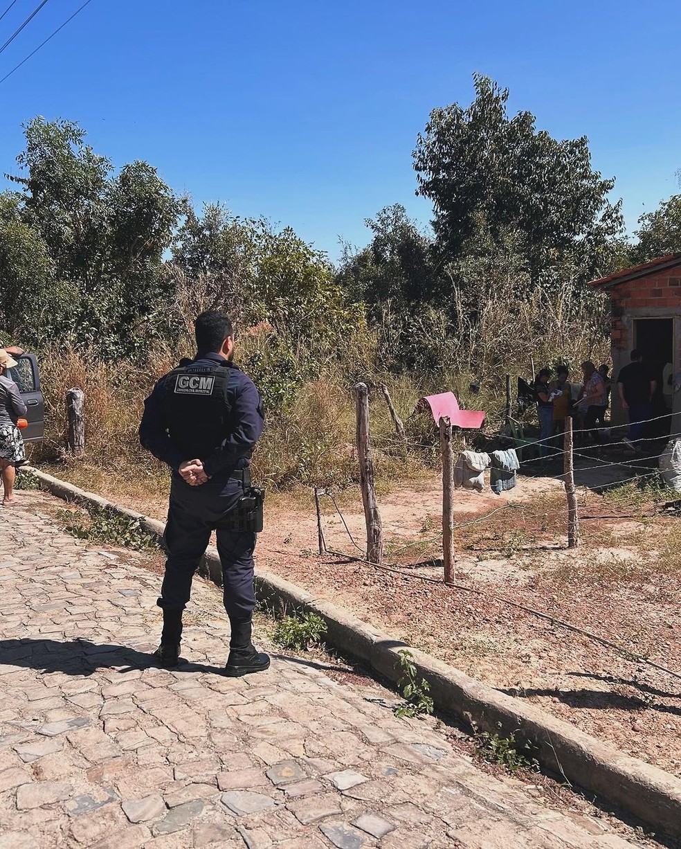 A GCM de Teresina deu apoio para o resgate da mãe e filho. — Foto: Divulgação