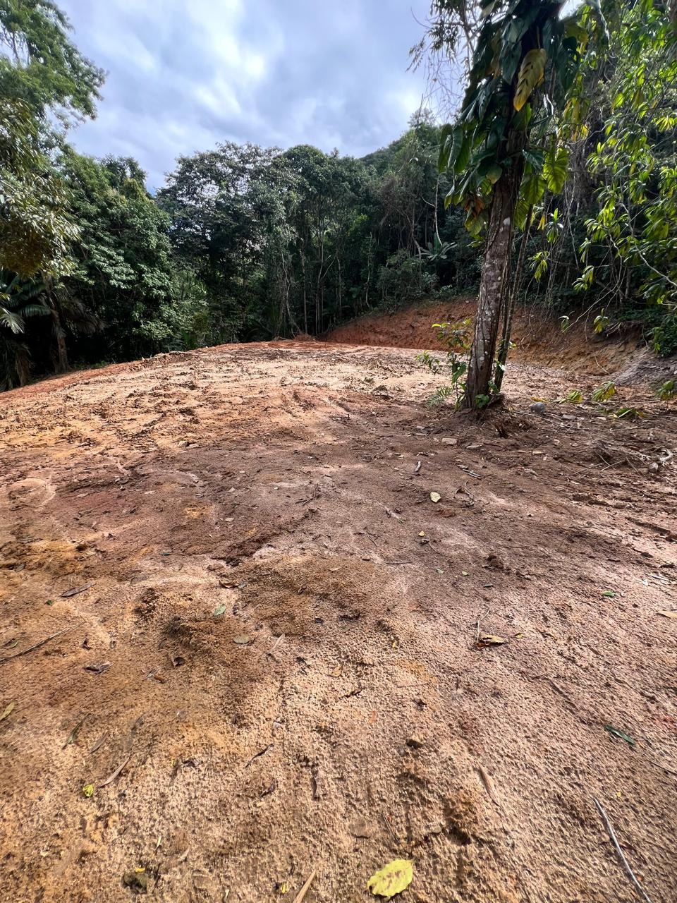 PM Ambiental identifica área de desmatamento em Angra dos Reis