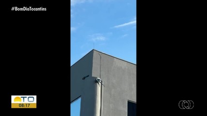 Telespectadora compartilha registro de araras no céu de Palmas