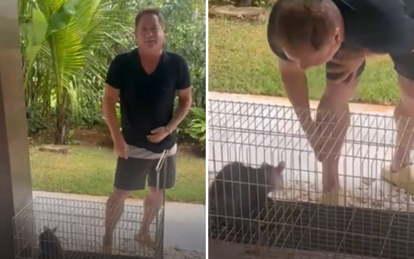 Leonardo oferece gambá para venda como sendo 'pinscher puro' e diverte seguidores; vídeo