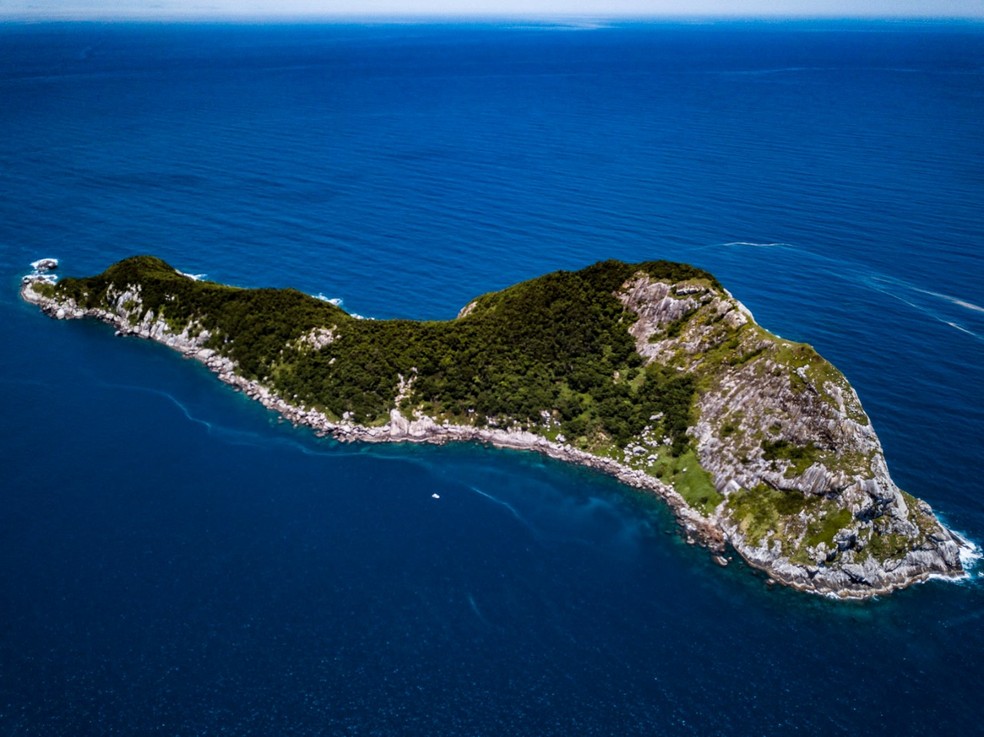 Ilha da Queimada Grande localiza-se a mais de 30 quilômetros das praias de Itanhaém, SP — Foto: Leo Francini/Divulgação