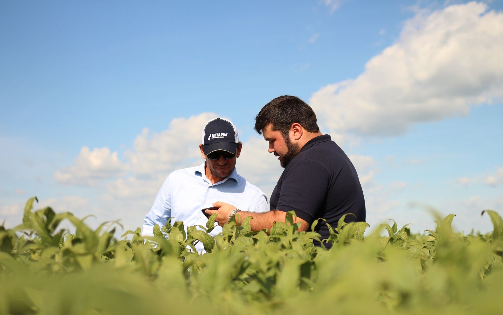 Dados, conectividade, sensores: o que é agricultura inteligente e quais são as novas aplicações no campo?
