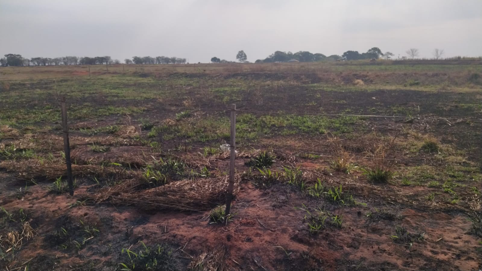 Fazendeiro é multado por uso de fogo sem autorização em área de amortecimento do Parque Estadual Morro do Diabo, em Teodoro Sampaio