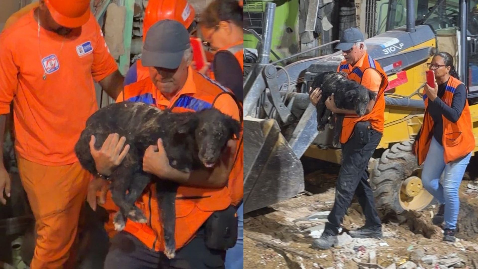 Cachorro é retirado de escombros mais de 35 horas após explosão que deixou dois mortos e destruiu oito casas em Olinda; VÍDEO