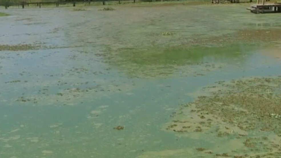 Cor esverdeada e mau cheiro de afluente do Rio Tietê preocupa a população em Penápolis (SP) — Foto: Reprodução/TV TEM