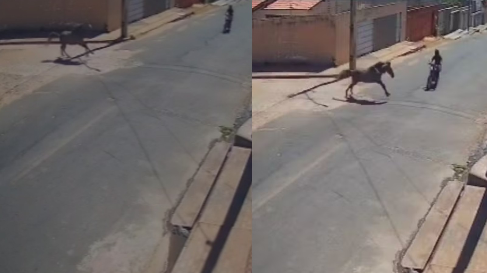 Vídeo: motociclista morre após colidir com cavalo em rua no Sul do Piauí 